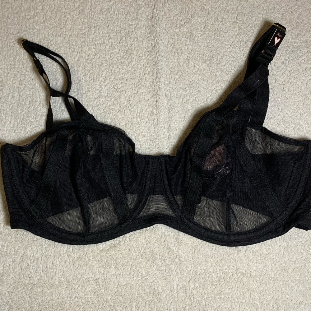 NWT sheer mesh bra